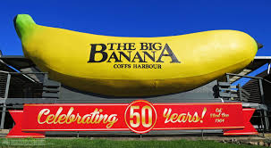 Big banana