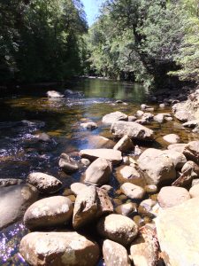 The Franklin River Nature Walk, Tasmania