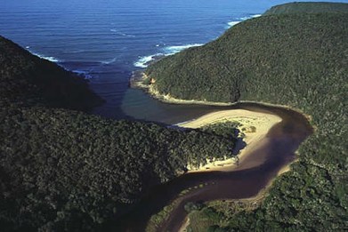 garden_route_national_park_tsitsikamma_03