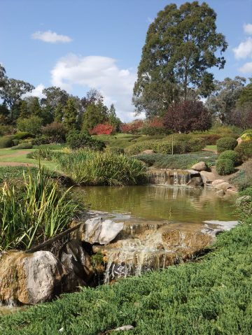 Japanese Gardens, Cowra, NSW Australia