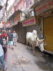 A typical back street in Delhi