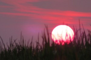 Sunrise on the Italian Via Francigena in 2018