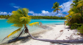 Palm trees and blue waters and white sands of the Cook Islands