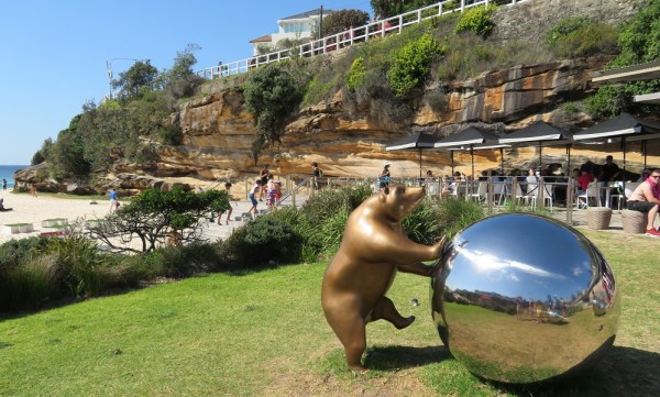 A bear and ball on the beach, Tamarama Beach