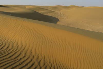 Sand dunes in the Thar Desert