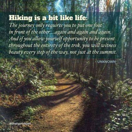 hiking philosophy quote with a forest background