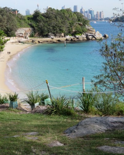 Shark beach, Sydney Harbour