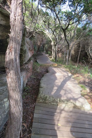 Through Hermitage Foreshore Reserve, Rose Bay