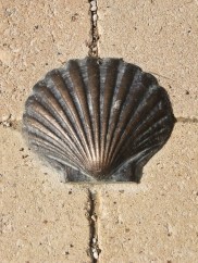 A bronze camino shell