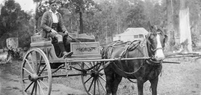 A man in a horse and sulky delivers milk for the Hastings Coop
