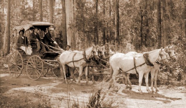 Early public transport in the Wauchope are - Robinson's Coach.