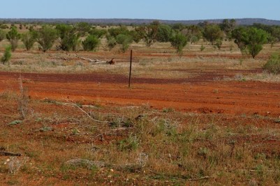 Landscape of far west Western NSW
