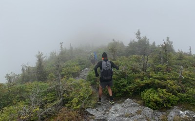 American forest in the fog