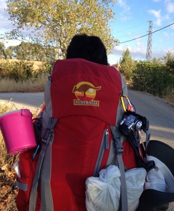A rear view photo of a person carrying a backpack across Spain