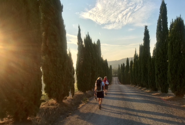 Two women down a dirt road between tall pine trees in Tuscany, Italy