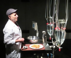 Feeding time at the Cloaca, Mona, Hobart Tasmania