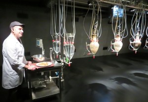 Feeding time at the Cloaca, Mona, Hobart Tasmania