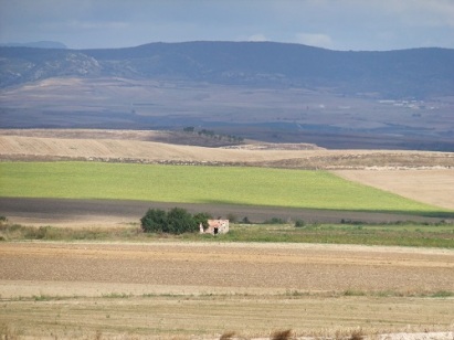Autumn fields on the Camino Frances