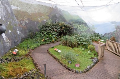 Strolling through the Subantarctic Plant House