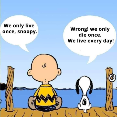 Charlie Brown and Snoopy philosophy