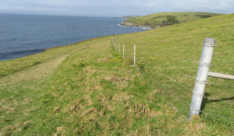 The path of the Kiama Coast Walk