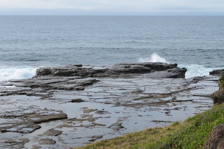 Views along the Kiama Coast Walk