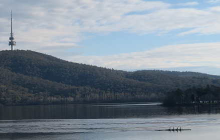 Views of rowers and Black Mountain Tower on the Western Loop of Lake Burley Griffin