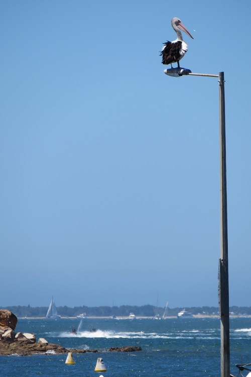 Water views at Patonga