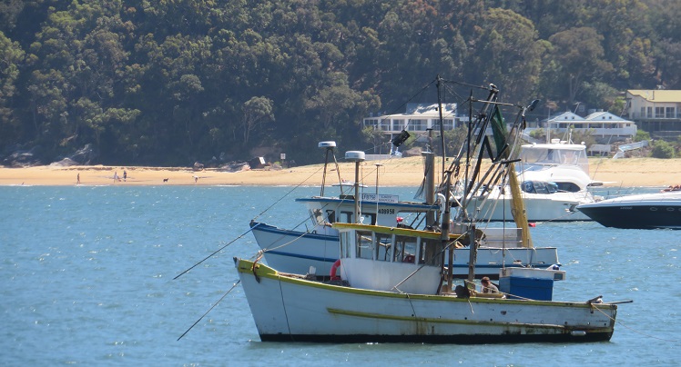 Water views at Patonga