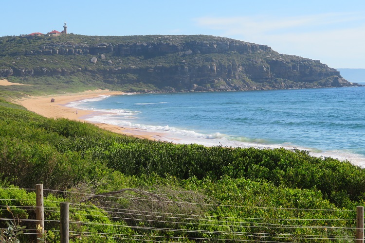 Palm Beach as Summer Bay