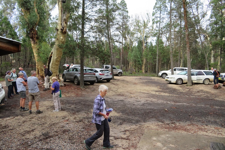 Parking area at Fern Tree Gully Reserve