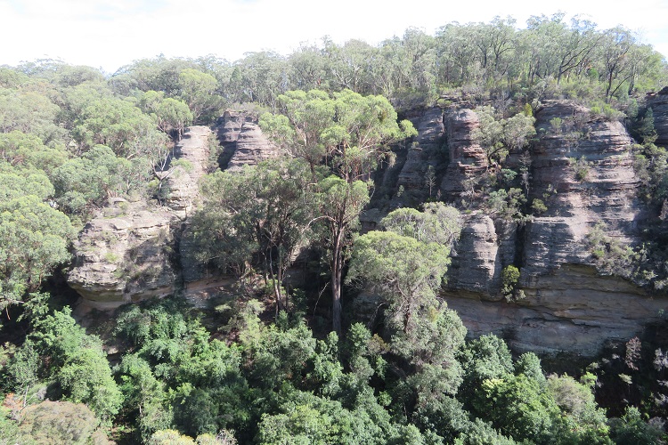Views over Fern Tree Gully Reserve