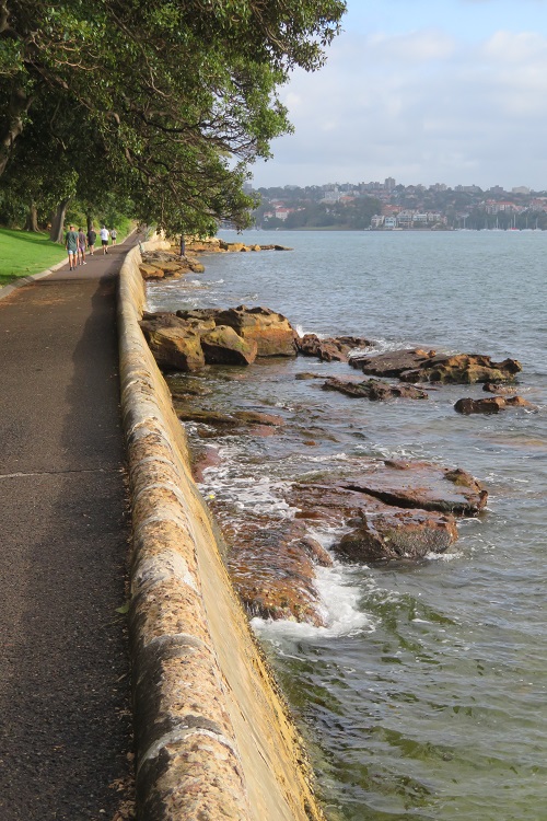 Botanic Gardens - Bondi to Manly walk