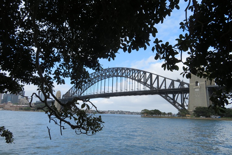 Stage 5 Bondi to Manly - Sydney Harbour Bridge