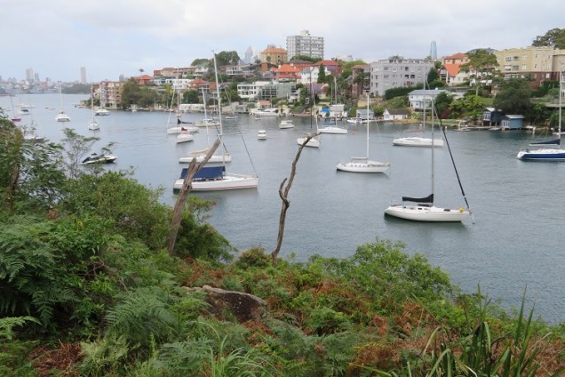 Bondi to Manly Path - Harbour Views