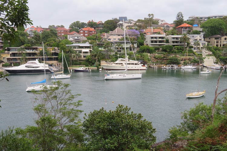 Bondi to Manly Path - Stage 5 - Harbour views