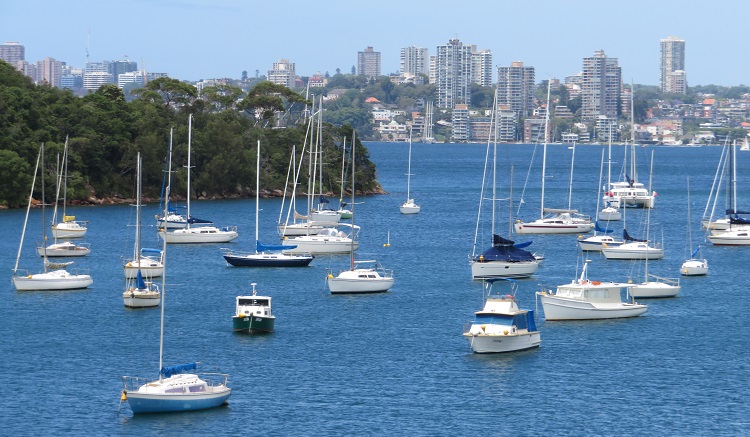 Bondi to Manly Path - Stage 5 - Harbour views