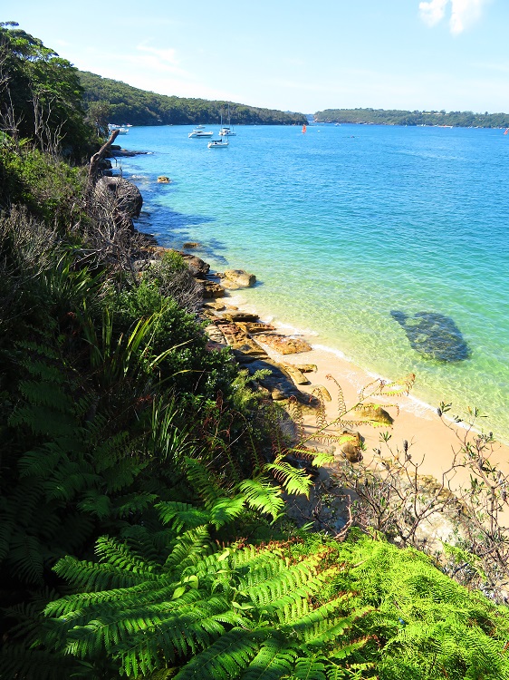 Crystal clear waters of Sydney Harbour