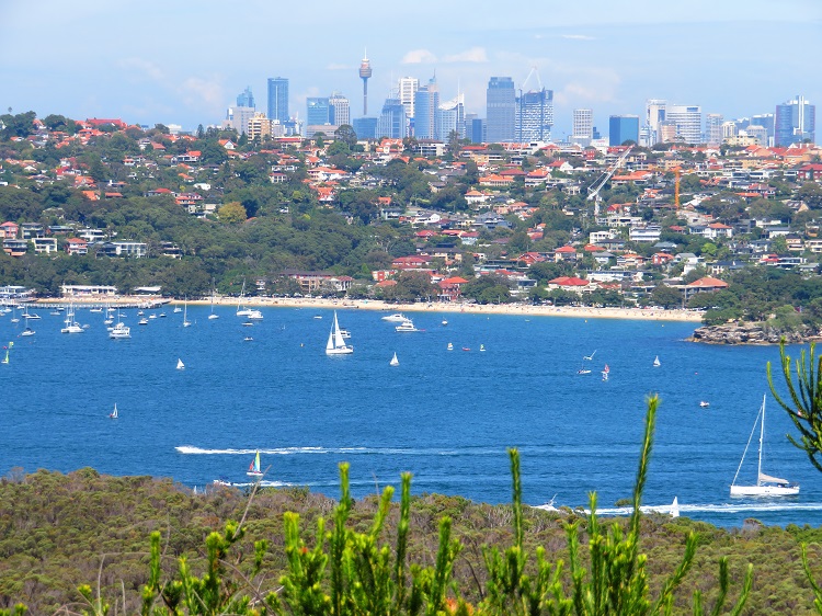 Views back to Sydney CBD from the Bondi to Manly Path