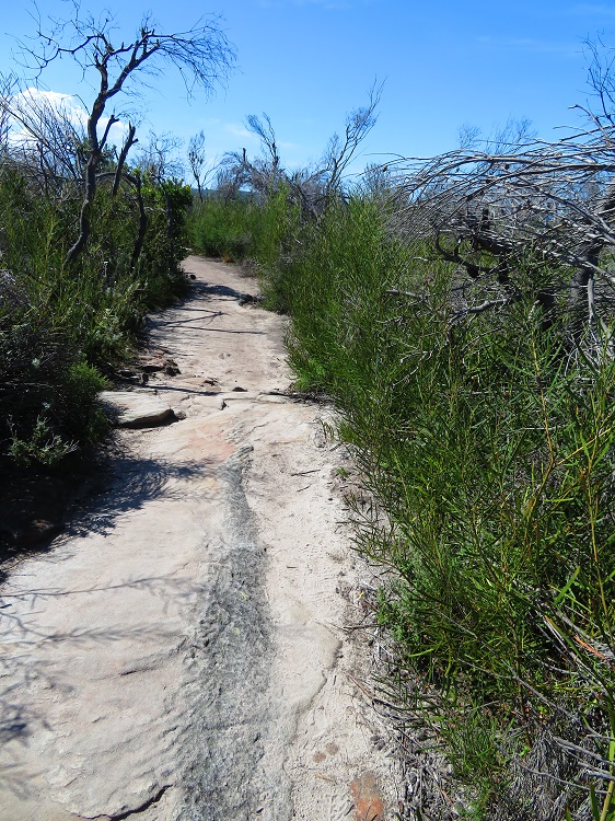 The path over Dobroyd Head