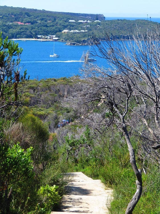 Views to North Head and Quarantine Station from the Bondi to Manly Path