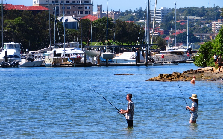 Fishing near Fairlight Beach