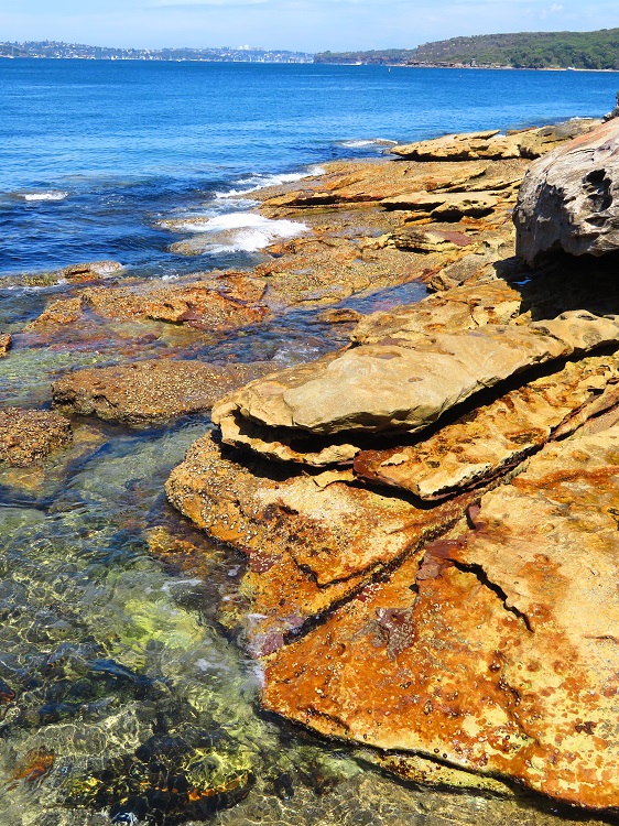 Sydney Harbour beaches - close to Manly