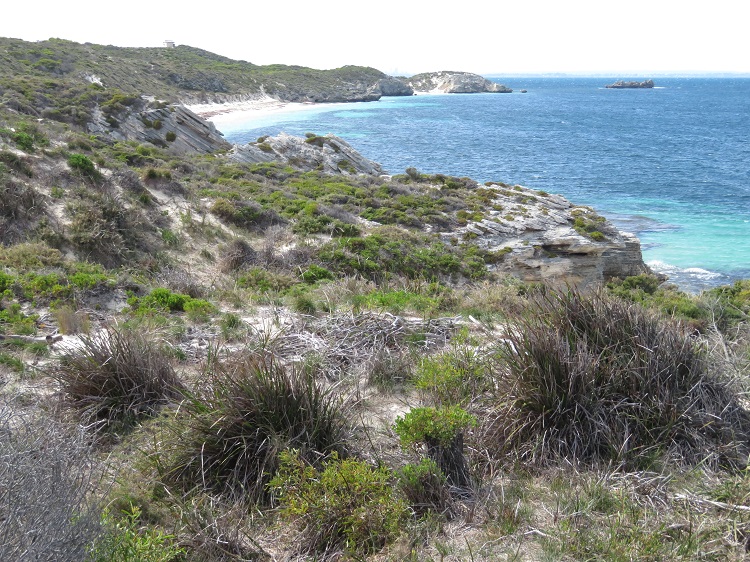 Rottnest Island