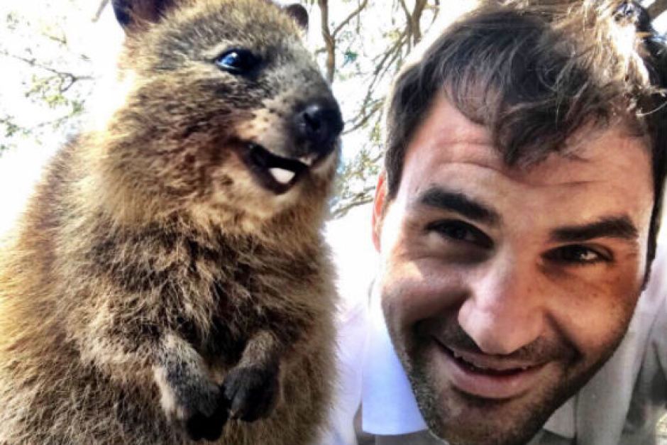 Roger Federer and his best mate, the quokka.
