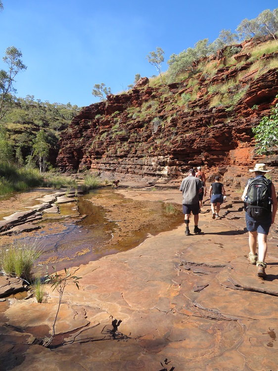 Rock pool at Kalamina Gorge, Karijini National Park Western Australia