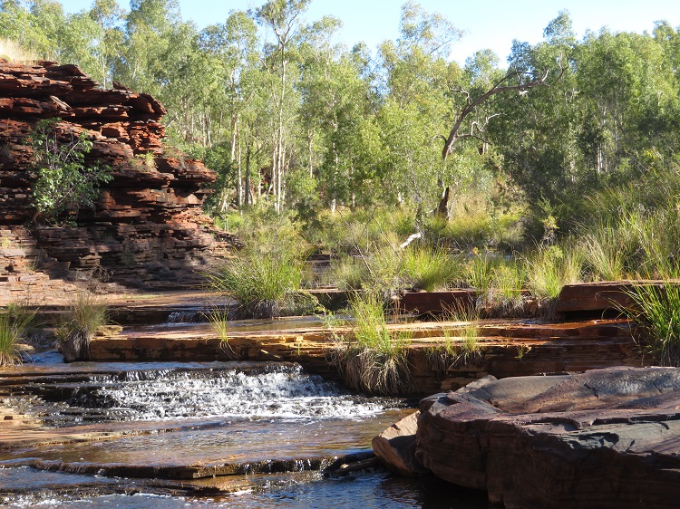 Rock pool at Kalamina Gorge, Karijini National Park Western Australia