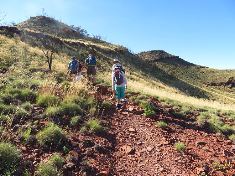 Mt Bruce or Punurrunha - Karijini National Park, Western Australia