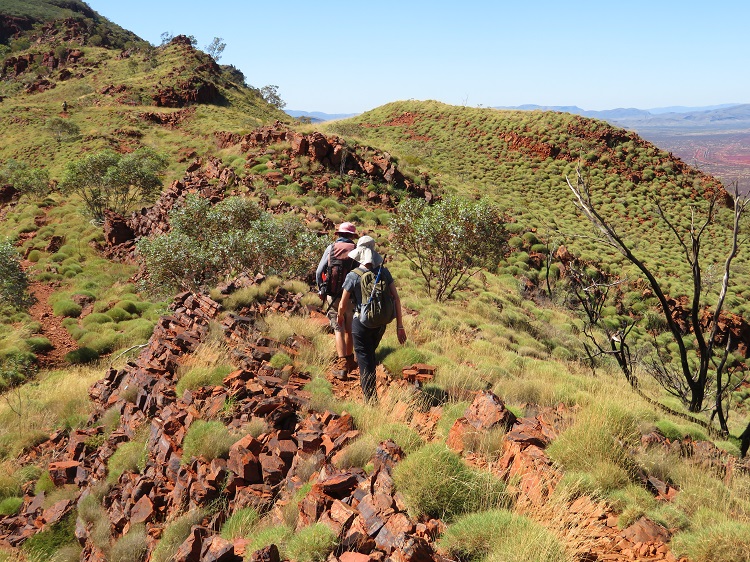 Mt Bruce or Punurrunha - Karijini National Park, Western Australia