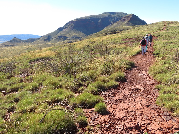 Mt Bruce or Punurrunha - Karijini National Park, Western Australia